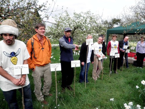Full_bloom_cotehele_019jpg