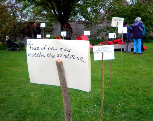 Acorn_bank_verse_002