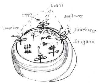 Bodydiagram