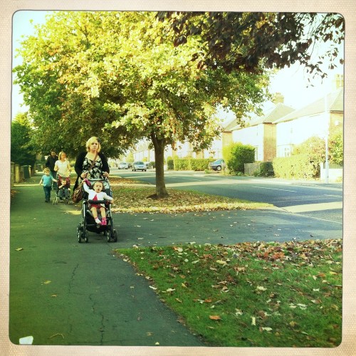 Falmer_and_carlisle_to_poppy_close_on_foot_056