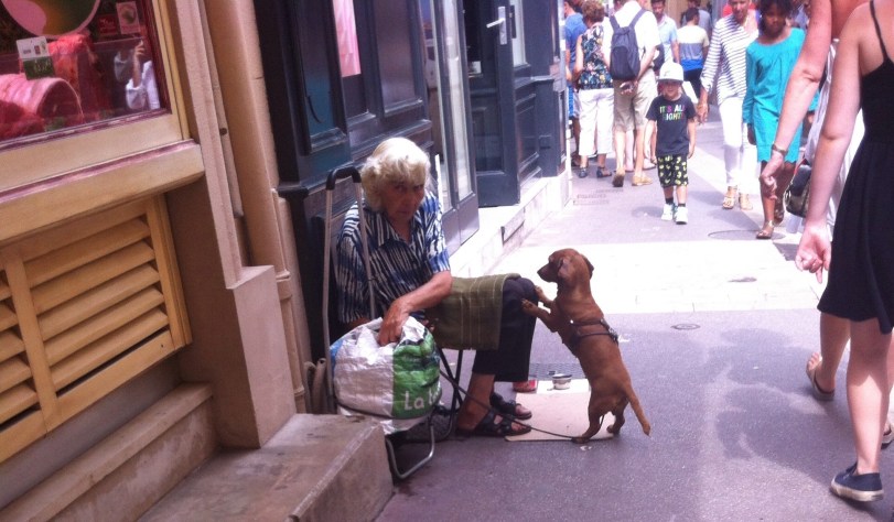 Beggar and Dog - St Tropez 2013  Paul Conneally