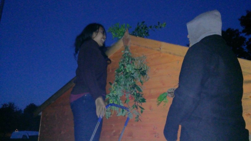 Artist Paul Conneally anoints a member of the public taking part in the Conneally and Culhane participation intervention / performance ceremony TOPPING OUT at Poughborough University Fruit Route Harvest event.