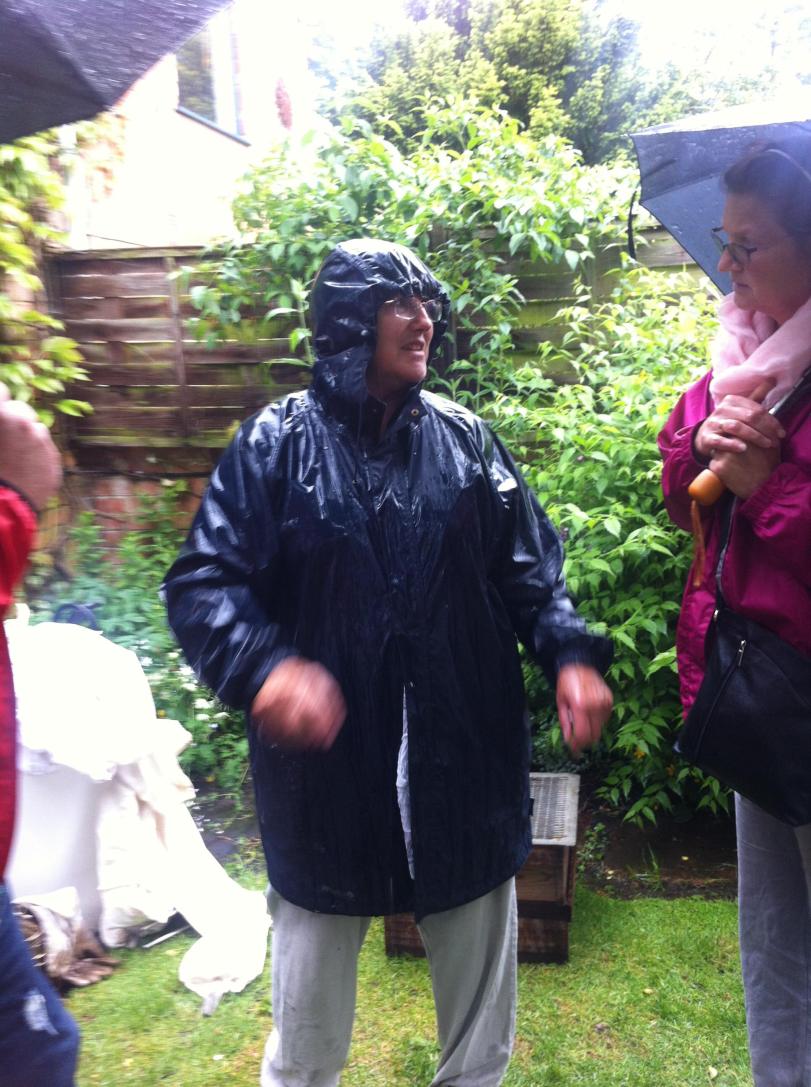 Loughborough Open Gardens bees Paul Conneally 